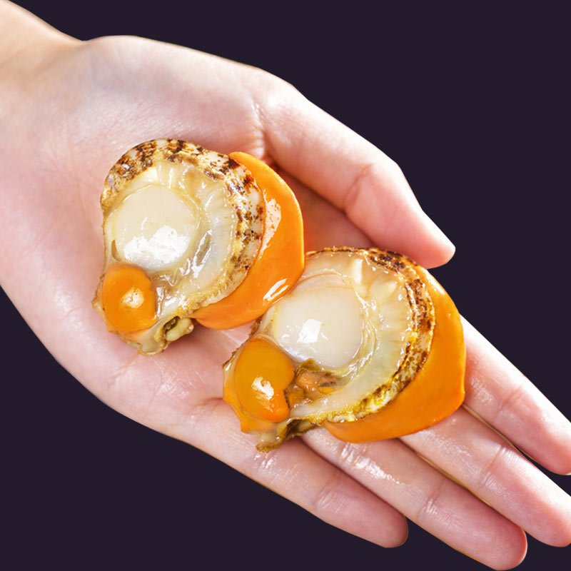 墨之瑶扇贝肉 新鲜鲜活现剥冷冻海鲜水产超大鲜贝 真空包装膏带黄 2斤