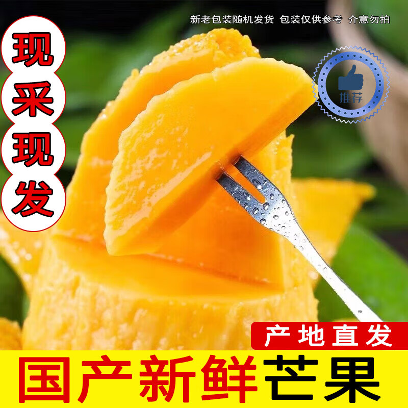 智洲国产芒果 新鲜水果生鲜 整箱约5.5-4.7斤/净含量2000g
