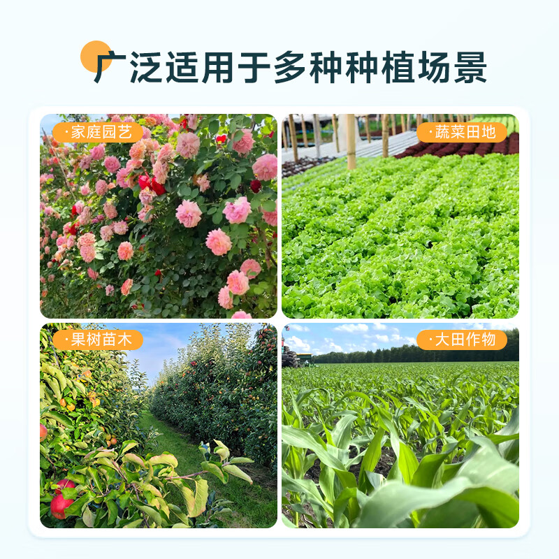 王田王聚谷氨酸含氨基酸植物有机营养液提质增产抗病抗逆大棚植物冲施肥 聚谷氨酸磷脂蛋白有机液1kg*1瓶