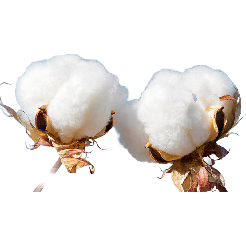 ڲɯʿڿд־ɴǿʽ͸̿ͷ4 40.41Ԫ()