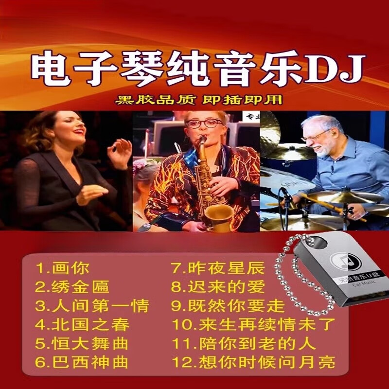 怀音车载电子琴纯音乐U盘dj电吹管红歌高品质笛子重低音无损音乐优盘 款电子琴3200首+270视