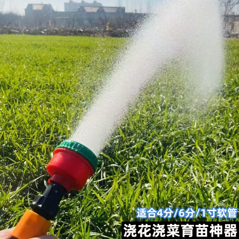 育苗喷头浇菜浇花浇地灌溉园林花园洒水枪浇水神器2000目洒水喷头 带开关育苗喷头/适合1寸软管使用 2000目花洒喷头/出水柔和