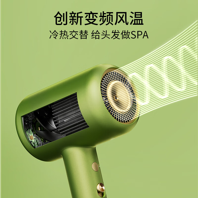 直白【国家补贴】水离子电吹风机家用大风力速干吹风筒大功率冷热循环风定制礼盒七夕情人节礼物 HL6绿