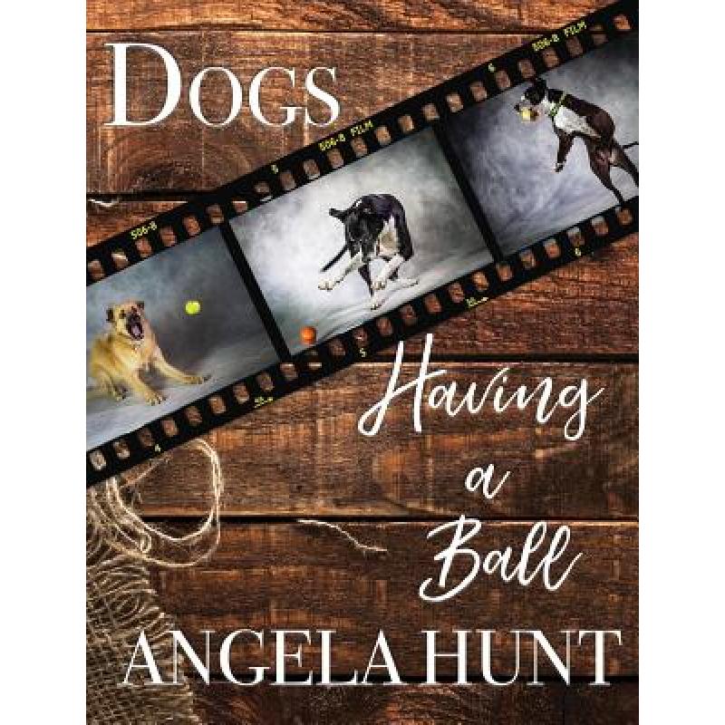 预订 Dogs Having a Ball