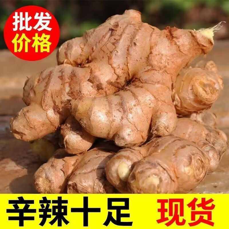 云南小黄姜产地直发