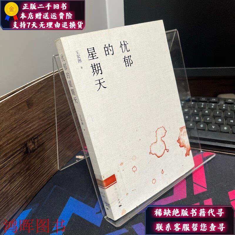 忧郁的星期天 上海人民出版社