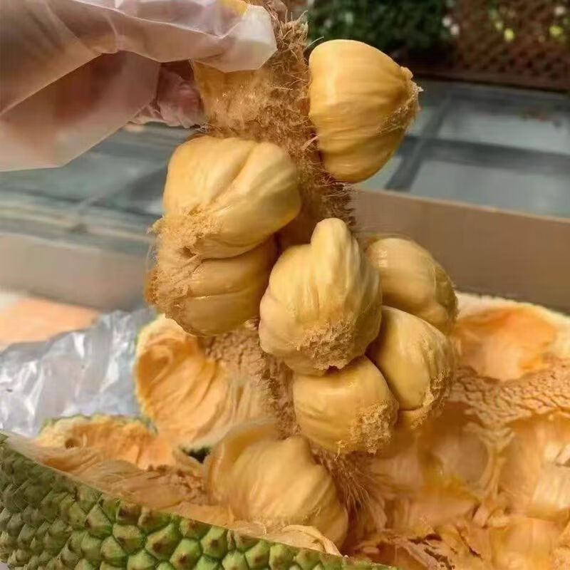 田园东方海南榴莲蜜热带水果 软糯香甜 (包6颗果肉/个)(顺丰)榴莲蜜 2-3斤(约1个装)