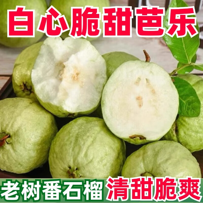 新鮮白心芭樂番石榴應當季孕婦水果奶油珍珠芭樂果園現(xiàn)摘整箱 精選5斤裝