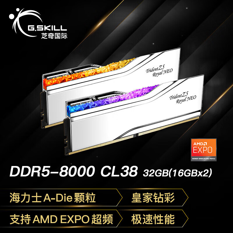 G.SKILL芝奇皇家戟 芝奇（G.SKILL）32GB(16Gx2)套装 DDR5 6000频率 台式机内存条-戟EXPO版RGB灯条-银色/ 8000MHz