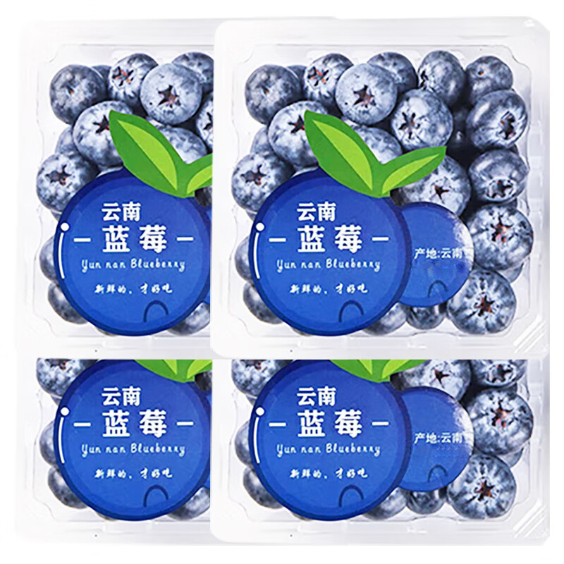 陇百味【JD/顺丰多地次日达】云南蓝莓 新鲜现摘高山应季热带时令水果 单果15mm+（4盒装*100g）