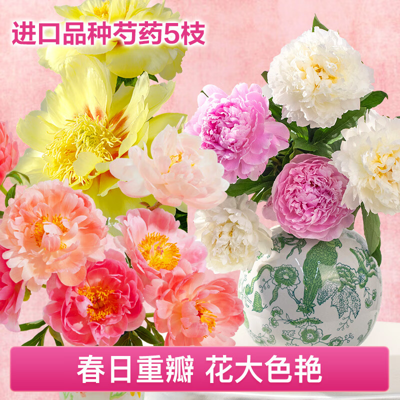 �����ʻ��ذ���ҩ���ʻ�����Ʒ�ֻ���ֱ�ɲ廨���л��滨��������Դͷֱ��