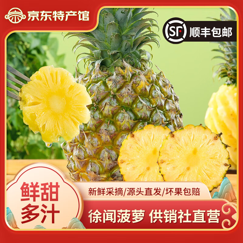 徐闻菠萝生鲜水果特产当季新鲜小菠萝爆甜供销社产地源头直发整箱 【中果】含箱5斤 （约2-3个果）