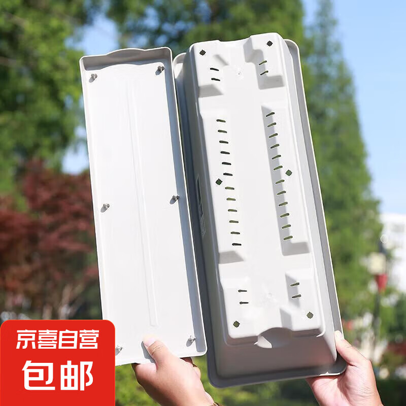 ���賤�����Ӵ�������ֲ����̨�ֲ����ͥ�����˲�ݮ�ֲ��� 1���裨��ɫ�����