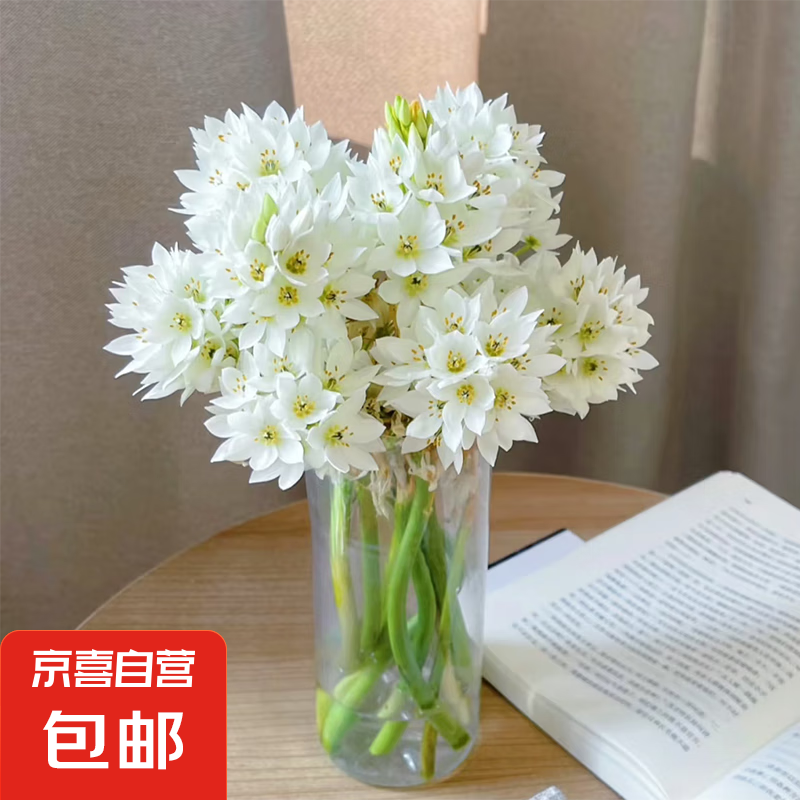 ȸ÷�ʻ��������л�ֱ������ˮ��Ӧ�������Դ��������ڳ� ȸ÷10֦