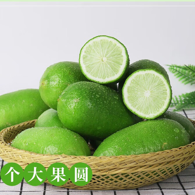 云南正宗香水柠檬无籽奶茶店专用青柠檬新鲜水果现摘子弹头小青柠 净重3斤装【单果50-90g】