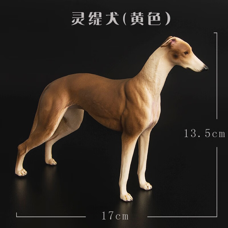 儿童仿真动物模型实心狗狗纯种犬灵缇犬格力犬模型玩具男女孩礼物