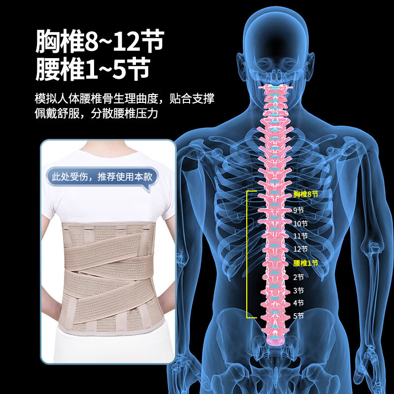 圣立臣医用级胸腰椎术后加宽护腰带腰椎骨折腰间盘膨出劳损钢板支撑腰托 【旗舰款】6根钢板支撑+增压气囊 M(适用体重80-115斤)