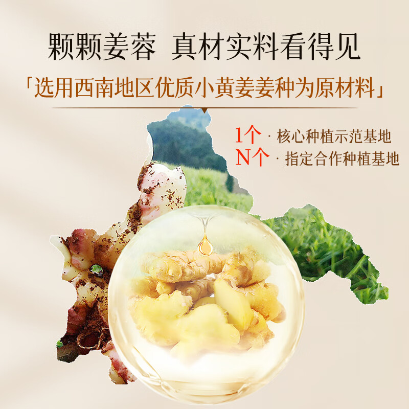 卓蓝雅(ZOOLY)生姜洗发水400/400ml*2生姜控油清洁洗发水柔顺滋养护发素 125ml旅行装洗发水