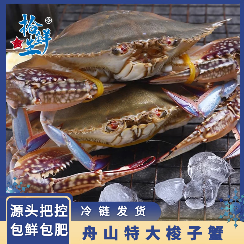 【冷冻】拾鲜生 梭子蟹活冷冻特大螃蟹海蟹海鲜5斤 7-9两/只 当季新蟹 源头直发包邮
