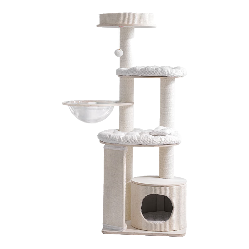 Ľ˹ʵľèܲռèèèץһ̫ղմèů Ľ˹