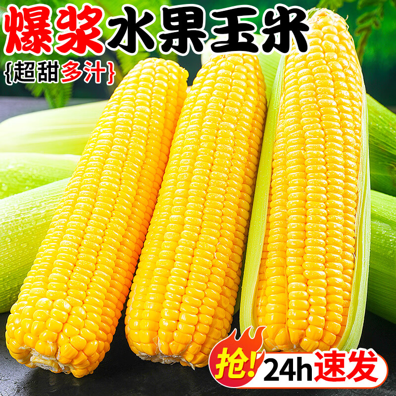 粤迎云南金银水果玉米新鲜甜玉米现摘玉米棒生鲜蔬菜可生吃火锅食材 5斤精选果【果农手挑】净4.7斤