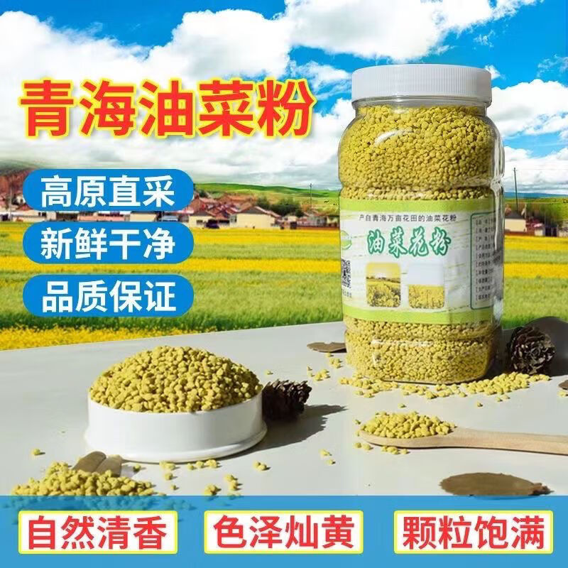 油菜花花粉正品新鮮青海粉天然蜂未破壁青海油菜純粉自產(chǎn)食用瓶裝 精品高品質(zhì)過篩青海油菜純粉 油菜花粉500g（一瓶裝送勺子）