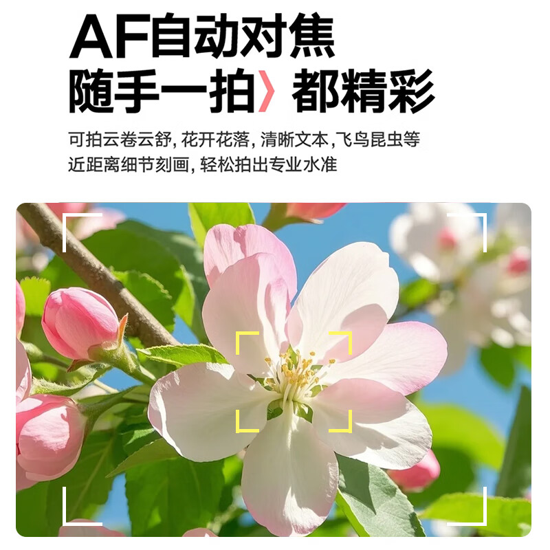 紫雨(PURAIN)ccd相机入门微单数码相机学生高中生高清可传手机照相机 自拍双摄照相机高像素旅游自拍小卡片机 薄荷绿【otg+读卡器】 32G【京仓发货次日达】