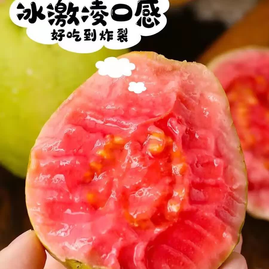 小筑倾橙广东软糯红心芭乐新鲜番石榴水果胭脂红巴乐孕妇水果整箱 3斤实惠装中果【单果120-140g】