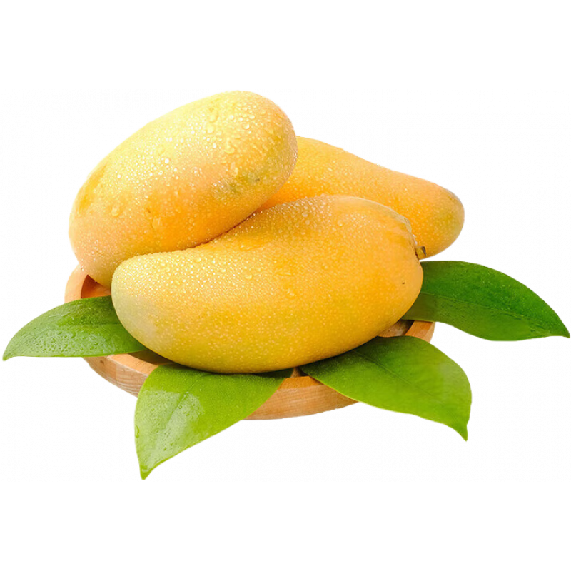 譯優(yōu)農(nóng)海南金煌芒新鮮芒果水仙芒當(dāng)季熱帶水果甜心芒爆甜特產(chǎn)現(xiàn)摘整箱 凈重5斤大果 (單果400g以上)