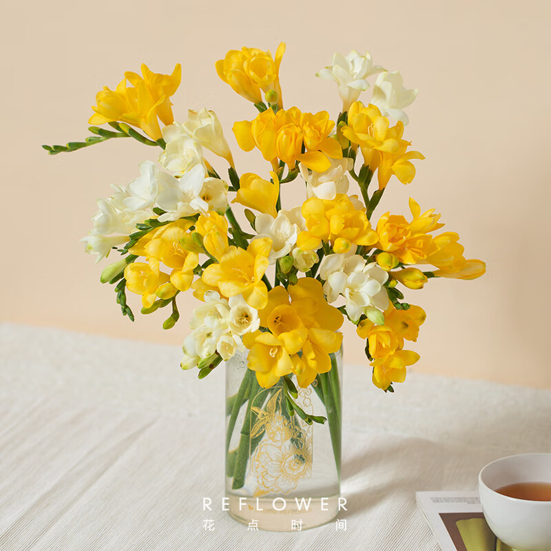 花点时间（Reflower）鲜花切枝云南昆明基地直发鲜切花插花送妈妈源头直发包邮 【香雪兰】黄色10枝+白色10枝（赠花瓶）