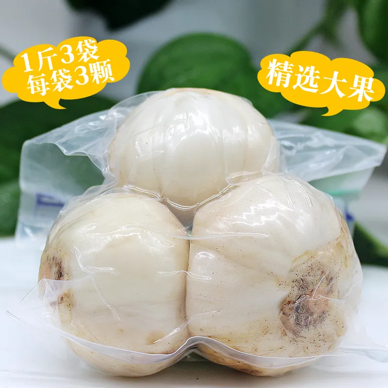 新鲜现挖兰州百合精选九年生大百合农家食用甜百合 9年生大果1斤装3袋