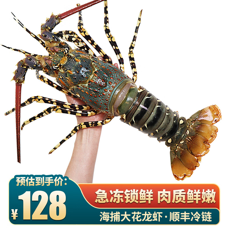 鲟好物新鲜冷冻澳洲大龙虾 超大花龙青龙虾 海鲜水产虾类 高端节日送礼 1-1.2斤花龙虾