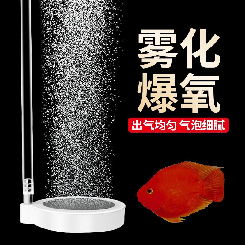 �ɱ����������������ʯˮ����������ɳͷ����ʯ������ˮ����Ʒ 2�׹������ײ�39Ԫ