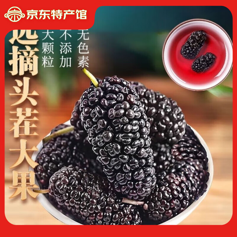 皇金密新疆黑桑葚干新貨無沙飽滿果頭茬桑椹干散裝即食泡水酒特選優(yōu)等果 黑桑葚干1斤【新疆直發(fā)】