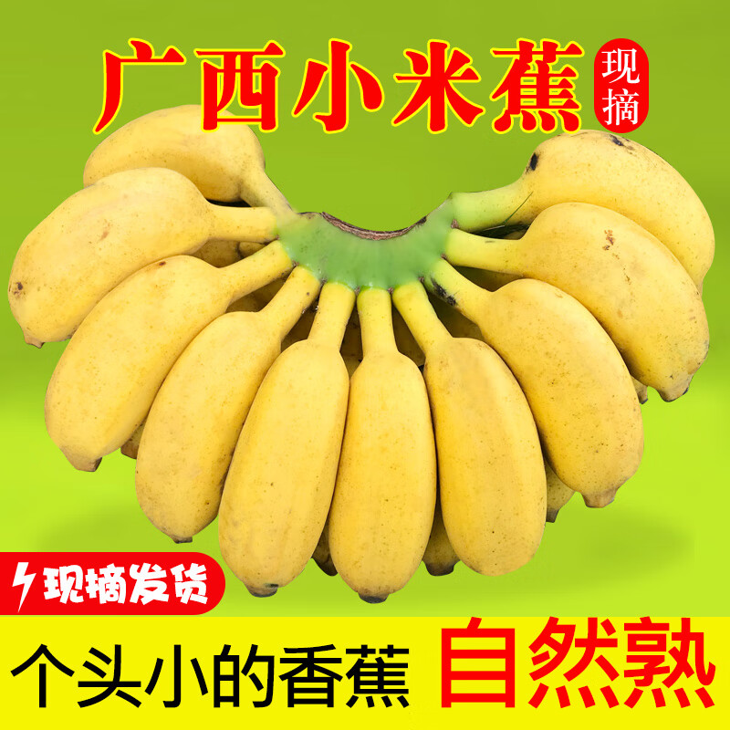 万峰村庄现摘广西小米蕉当季新鲜水果9斤整箱自然熟1斤/2/5斤苹果香蕉粉蕉 1斤