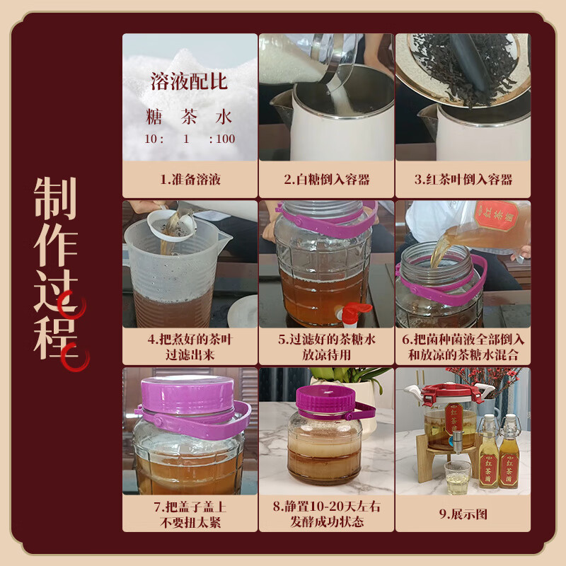 同仁堂（TRT） 正宗红茶菌菌种 胃宝海宝菌家用 自制康 2片菌配老液共300g 300g*1袋