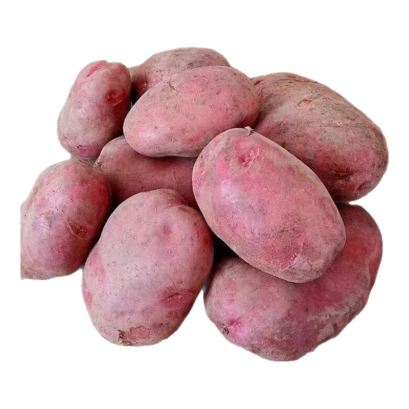 河北红皮大土豆新鲜黄心土豆现挖洋芋地蛋马铃薯粉面火锅批发 红皮土豆大果 1斤 【单果150g+】