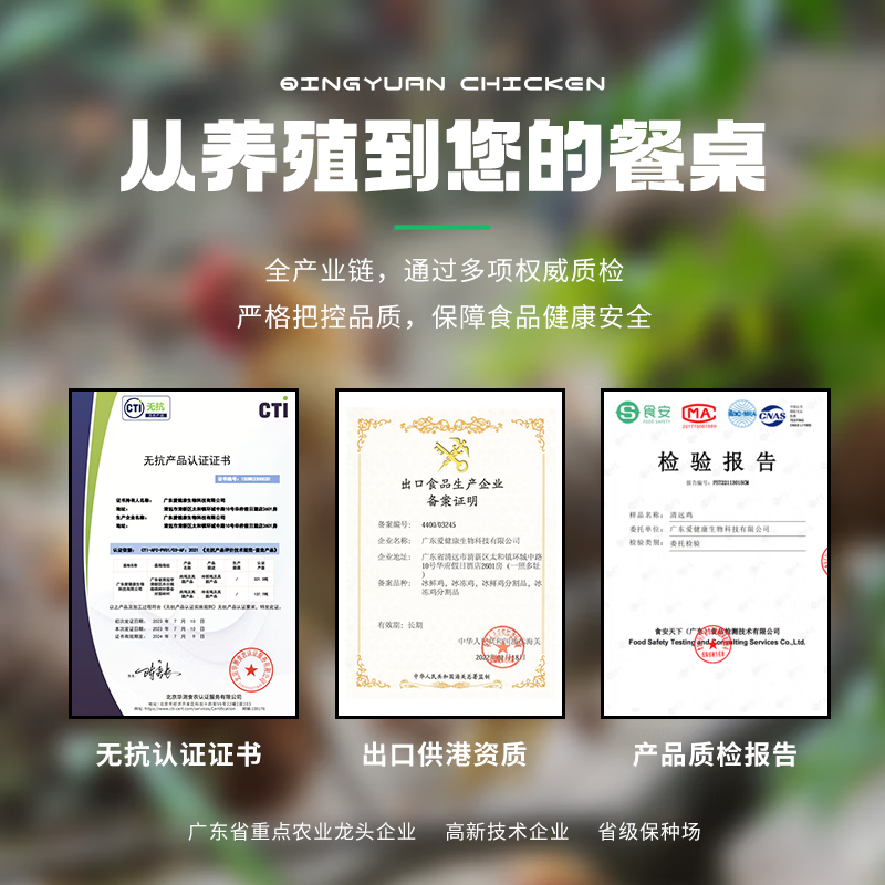 叹鸡160天原种清远鸡1kg 国家地理标志产品 散养麻鸡走地鸡椰子鸡食材 160天原种清远鸡1000g*1只