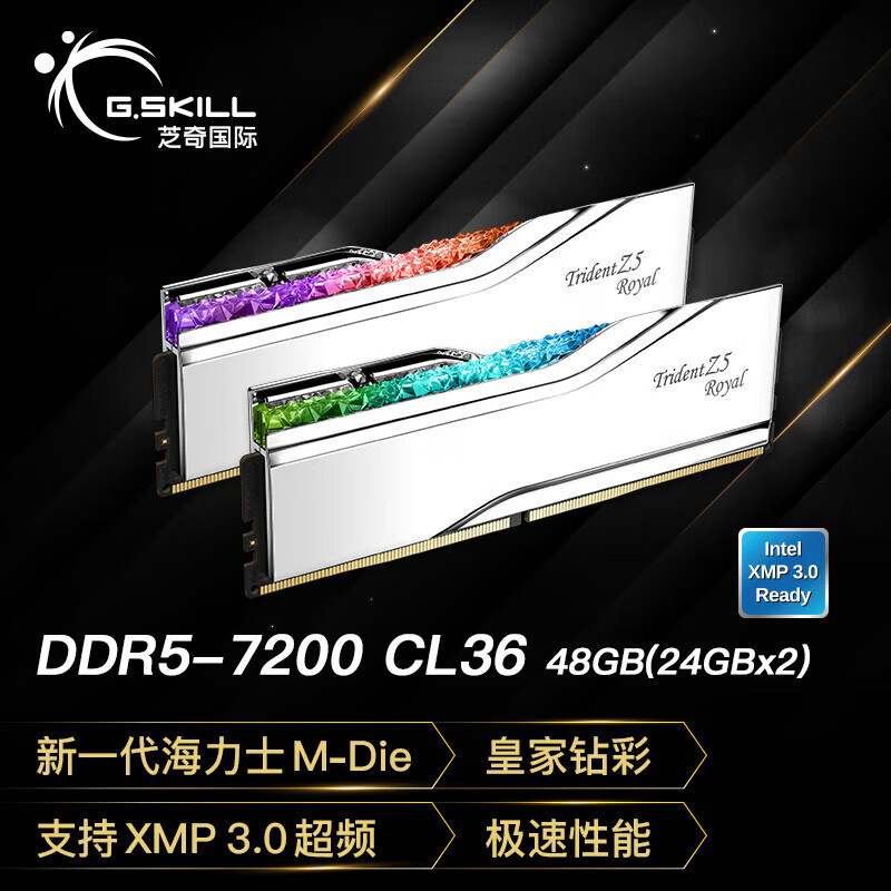G.SKILL芝奇皇家戟 芝奇（G.SKILL）96GB(48Gx2)套装 DDR5 6400频率 台式机内存条-戟RGB灯条/C32 7200MHz 48GB 2条套条