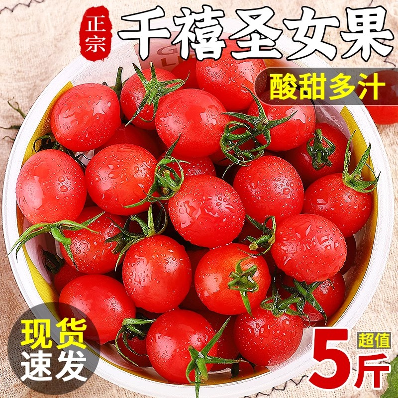 感光之水正宗山东千禧圣女果  新鲜小番茄现摘现发应季樱桃番茄小柿子水果 精选 3斤 【精美纸箱加餐盒】