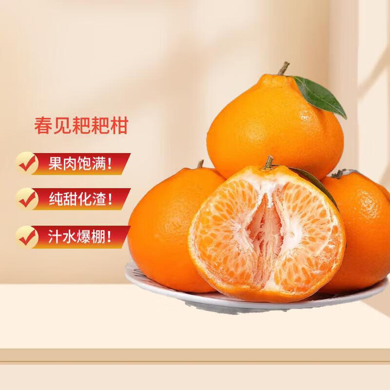 菲农正宗四川春见耙耙柑10斤新鲜水果当季整箱丑粑粑橘子源头直发  5斤【80%选择-划算】净4.8斤 春见耙耙柑中果
