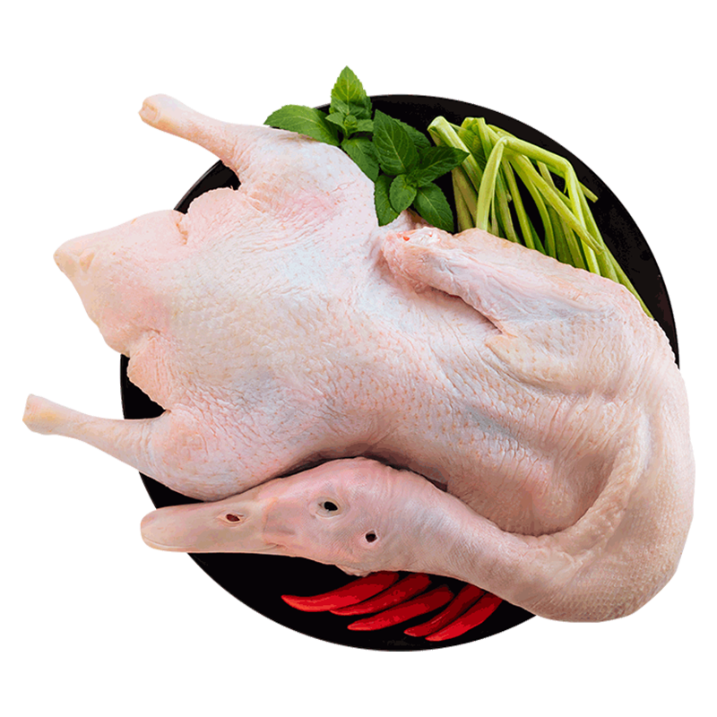 ����ʳƷ��CP��ӣ�ҹ�Ѽ4.4�1ֻ���䶳���ʾ���Ѽ����Ѽ��ơ��Ѽ��Ѽ��