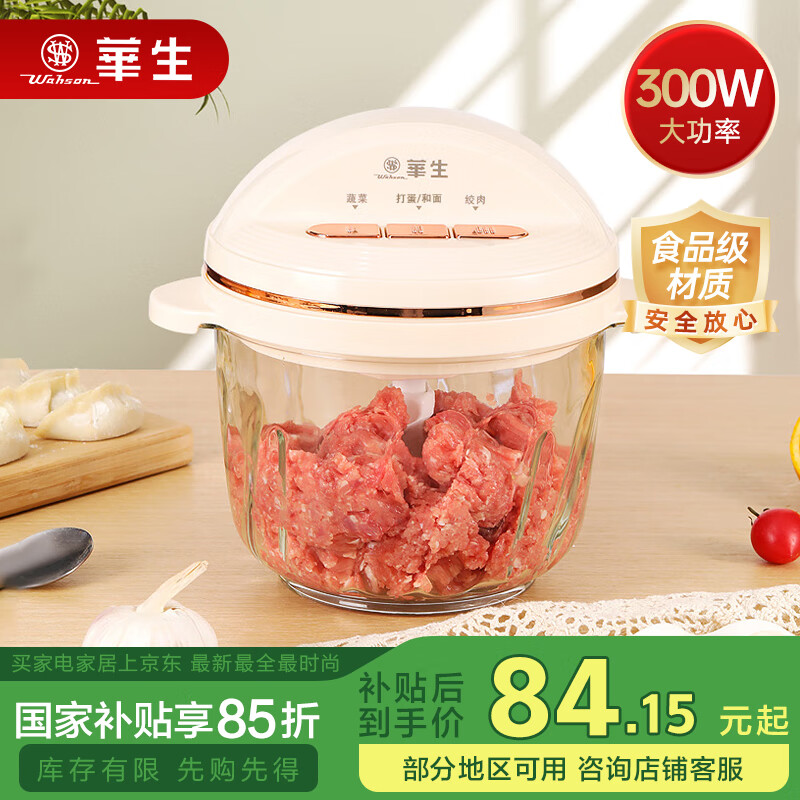 华生（Wahson）【国家补贴】大容量绞肉机家用辅食机婴儿绞馅机料理机商用电动多功能搅拌机3L