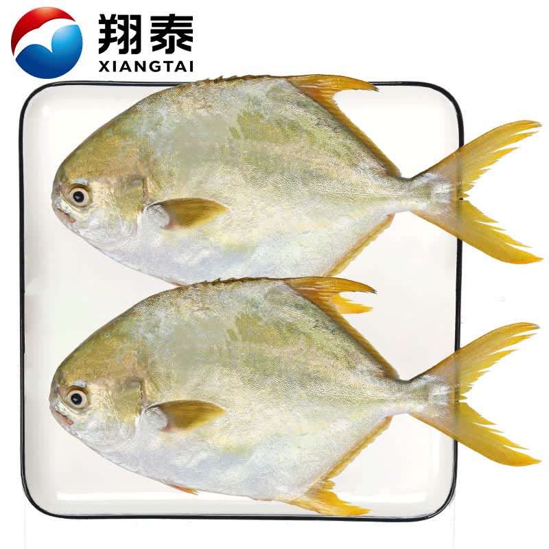 翔泰 冷冻海南金鲳鱼900g/2条ASC 鱼类生鲜 深海鱼 火锅食材 海鲜水产怎么看?