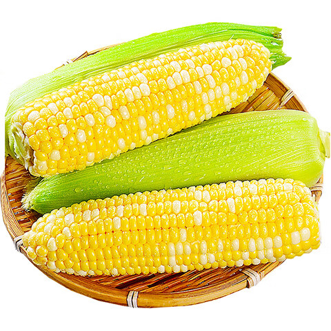 ������Դ���Ͻ���ˮ������ �������װ��� �����߲� 2500gװ