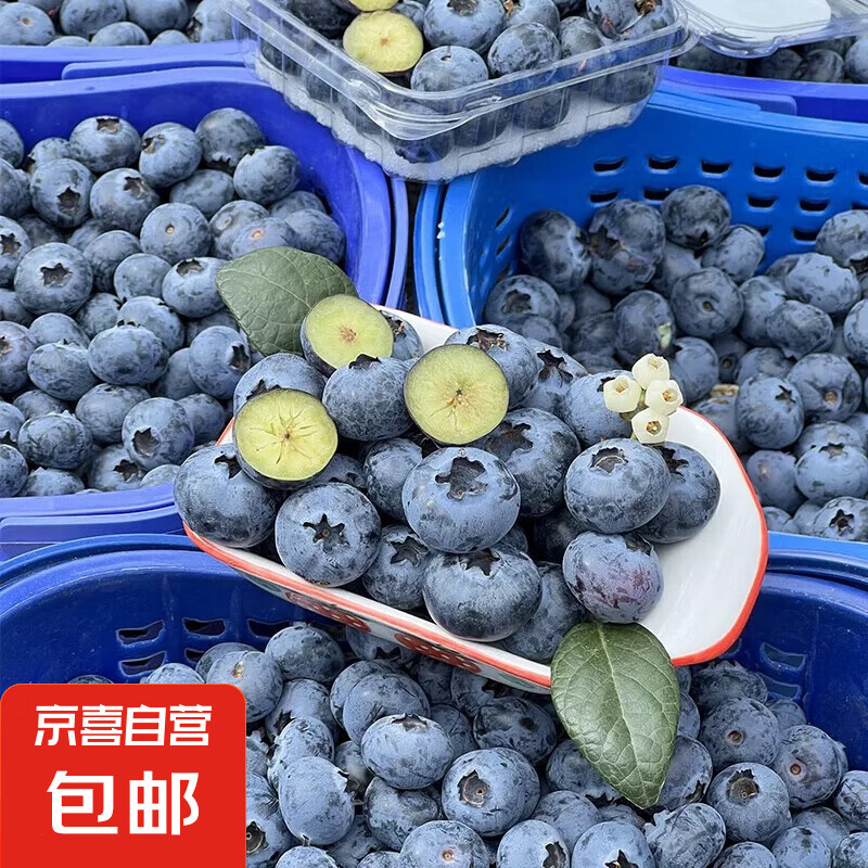 丹东蓝莓优瑞卡脆甜多汁原箱发货宝宝孕妇水果 500g｜大果18mm+