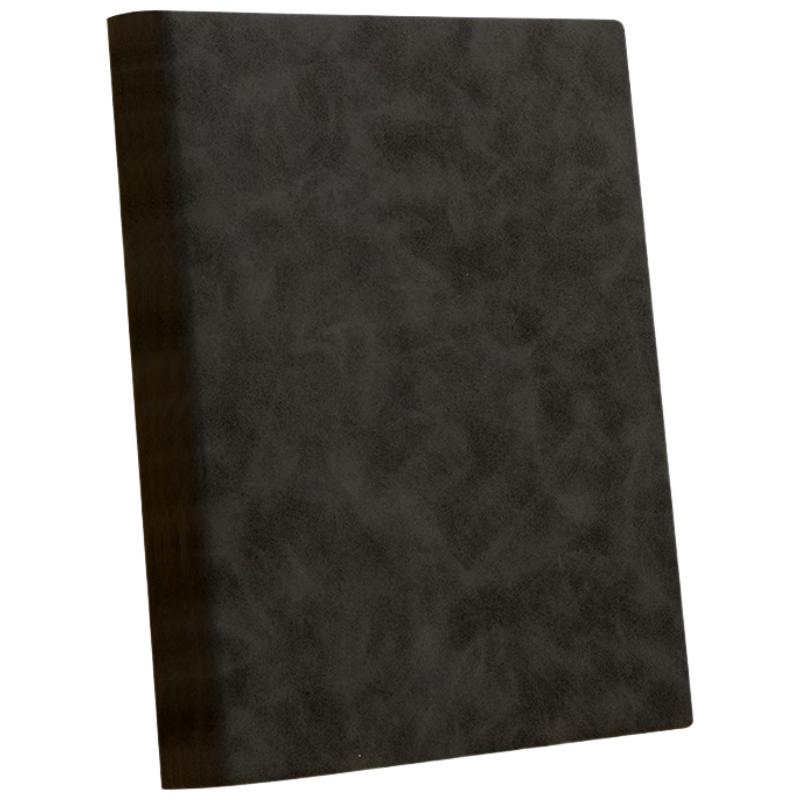 晨光（M&G）文具商务笔记本羊巴皮面本记事本笔记本本子加厚日记本会议记录本办公考研专用25K/80张黑APNFM001