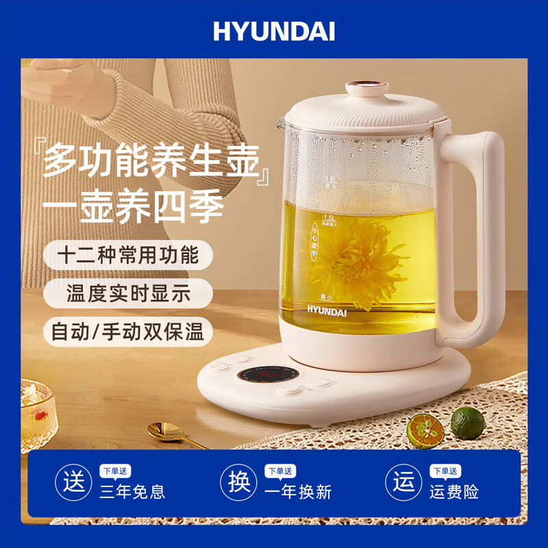 HYUNDAI  1.8L大容量养笙壶