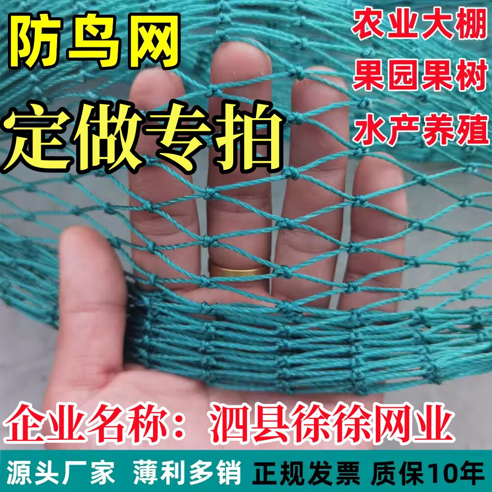防鳥網(wǎng)養(yǎng)雞網(wǎng)爬藤網(wǎng)尼龍網(wǎng)
