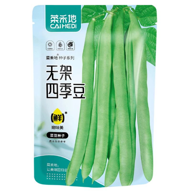 菜禾地 四季豆種子種苗不搭架無筋菜豆蔬菜種籽 無架四季豆種子30g
